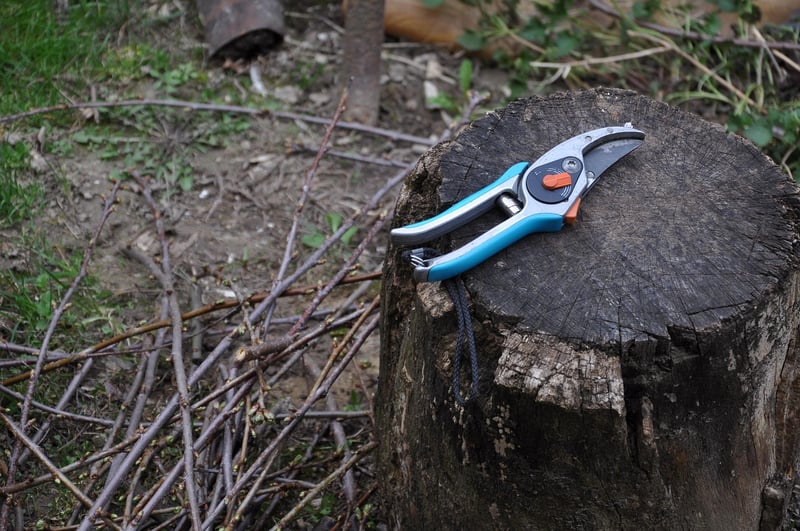 Magic Pruning Shears
