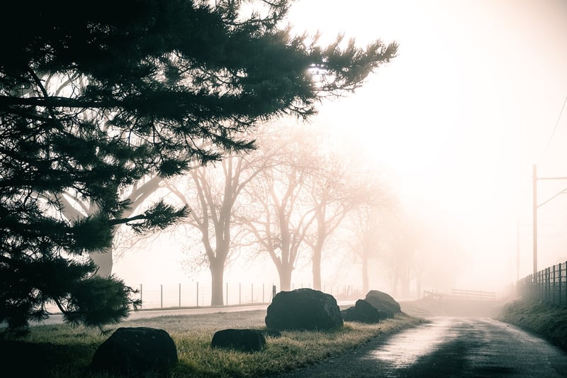 Magical Pathways